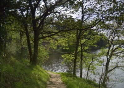 canoe-kayak-pedalo-paddle-lac-jaunay